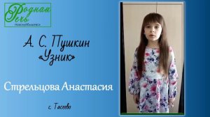 Стрельцова Анастасия