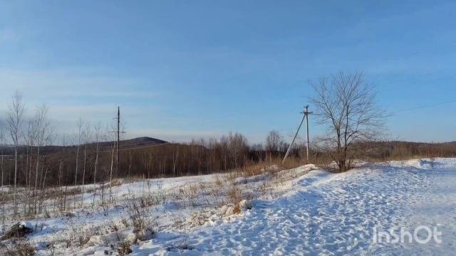 5.03.2024г.ТАЁЖНЫЙ.ПРОГУЛКА.О ЦАРЯХ.КОМСОМОЛЬСК-НА-АМУРЕ #комсомольскнаамуре