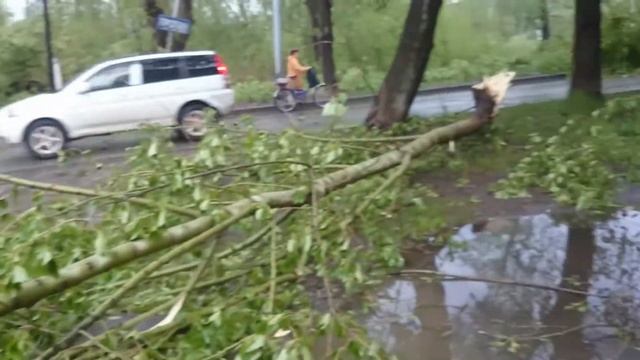 Ураган в Нижнем Тагиле 3 июня 2017 смотреть онлайн