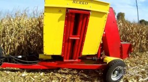 уборка кукурузы в початках. т25 + однорядный комбайн berko
