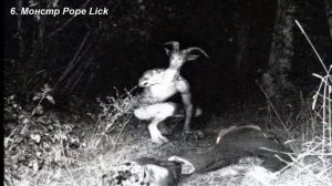 Топ 10 самых странных и необъяснимых существ нашей планеты