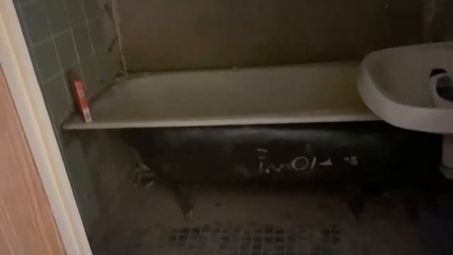 Москва, ул. Академика Скрябина, 10. Студия №1 19 кв.м. смотреть онлайн