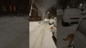 Мело весь месяц в феврале..