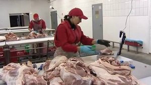 Новые сюжеты об экскурсиях на мясокомбинат Дубки