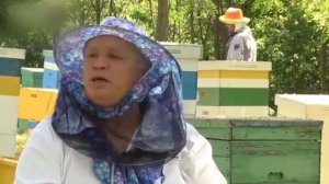 Пчеловодство Молдовы.пасека Григоре Скутарь.