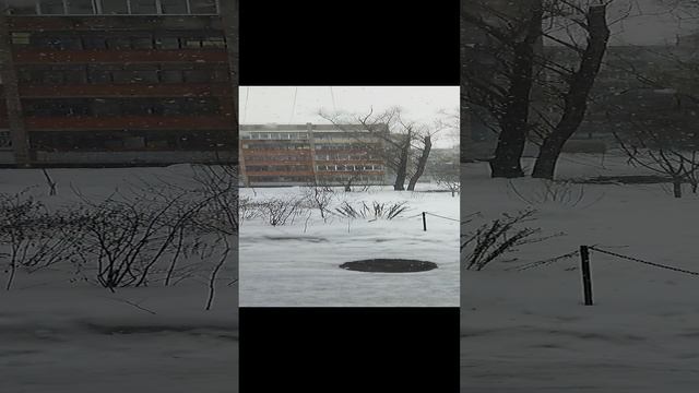 VID_20230305_122833.mp4 смотреть онлайн