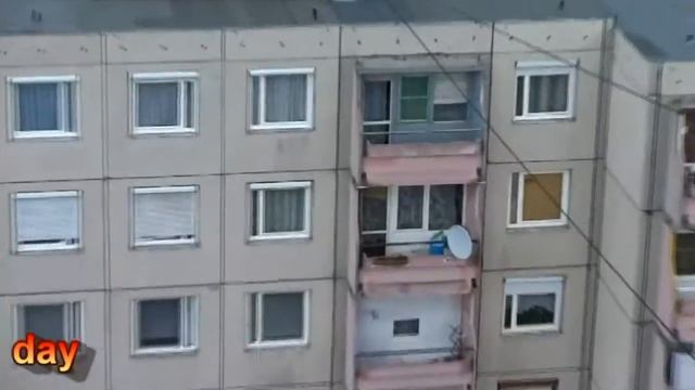 SONY DSC-WX60 WX60 Test Video by Johniee смотреть онлайн