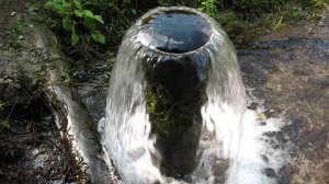 "ДВА В ОДНОМ" РОДНИК НА КЛЯЗЬМЕ (12 августа 2013)