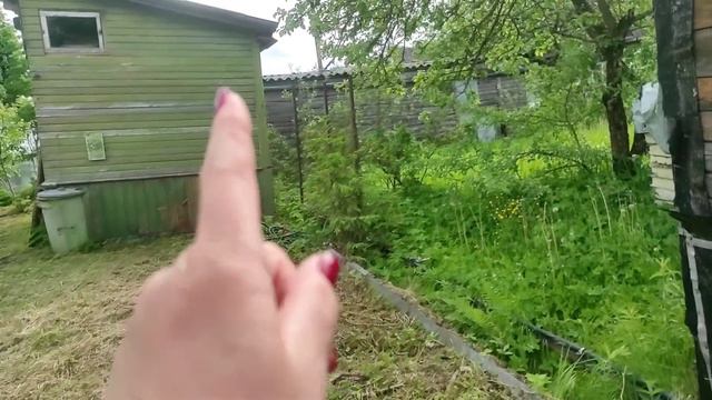 19.06.22.Дача..новая косилка..косим и наслаждаемся😁 смотреть онлайн