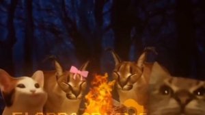 Шлёпа и его друзья чилят в лесу