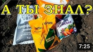 МИНЕРАЛЬНЫЕ УДОБРЕНИЯ: какие, когда, сколько...все по полочкам???