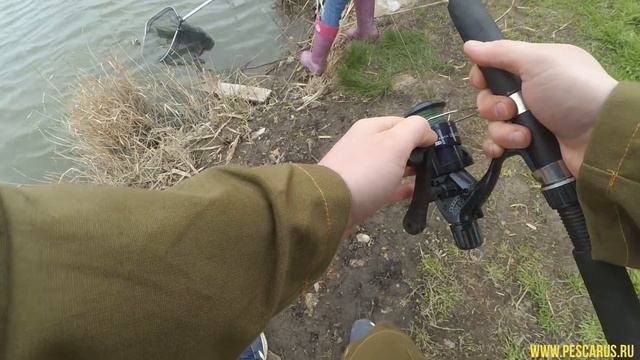 Рыбалка на макушатник.Ловля карповых на брикеты.