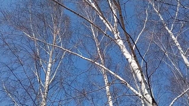 11 апреля. ПРАЗДНИК БЕРЕЩЕНЬЕ/Счастье и благополучие ждёт Вас, надо только.../Народные приметы