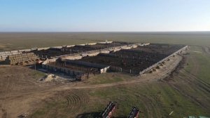 Калмыкия, сюжет № 2: фермы по откорму бычков