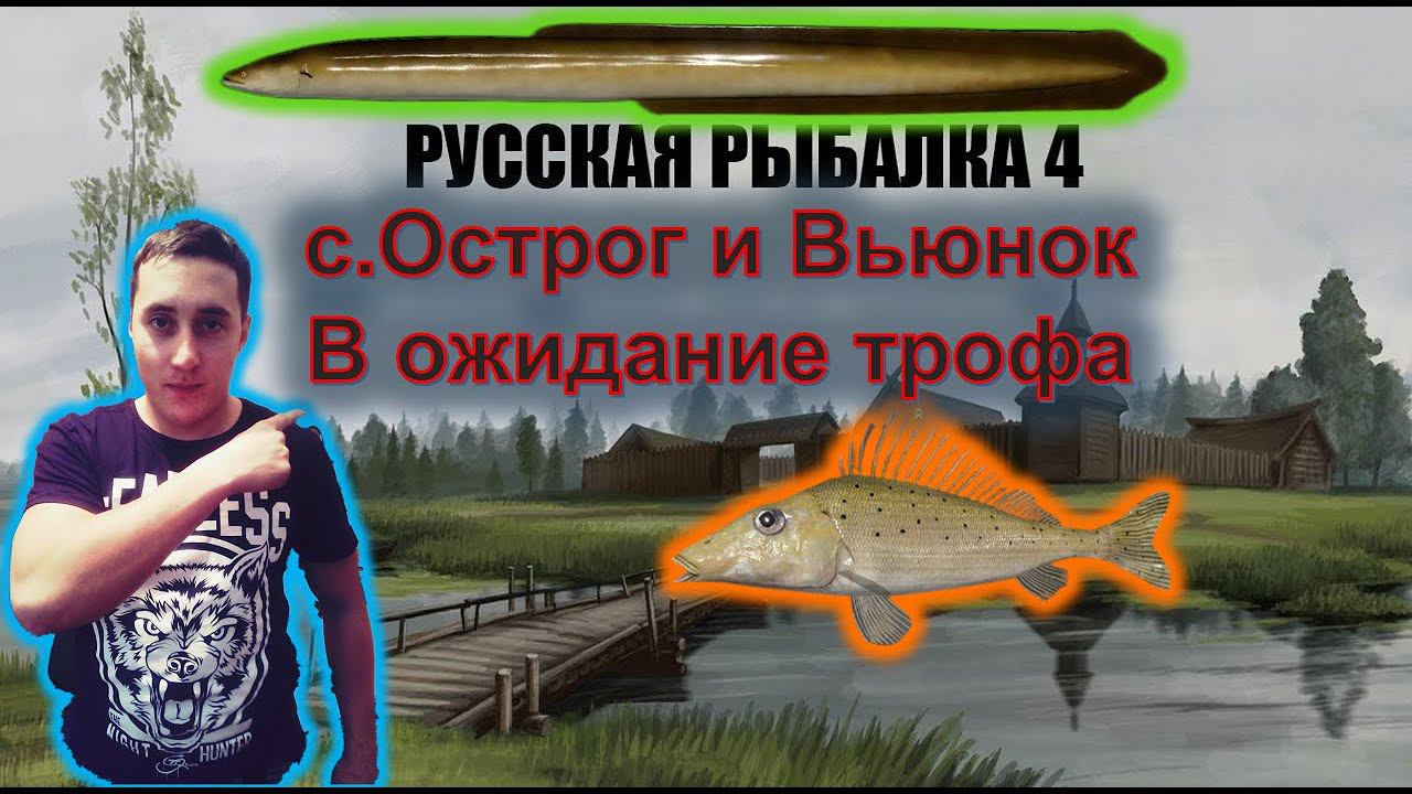 с.Острог и р.Вьюнок- Угорь или носарь?!