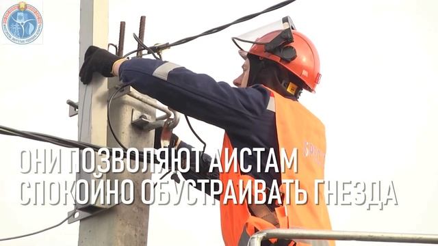 Энергетики установили на опорах ЛЭП более 200 платформ для гнезд аистов смотреть онлайн