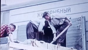 Аральское море 1963г. рыбный промысел СССР.