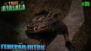 ГЕНЕРАЛ ШТОК | TRUE STALKER  | Серия 35