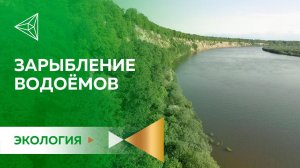 Зарыбление водоёмов