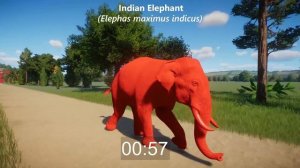 Red Animals Races in Planet Zoo included Giraffe, Hippopotamus, Elephant & etc | Colored Animals