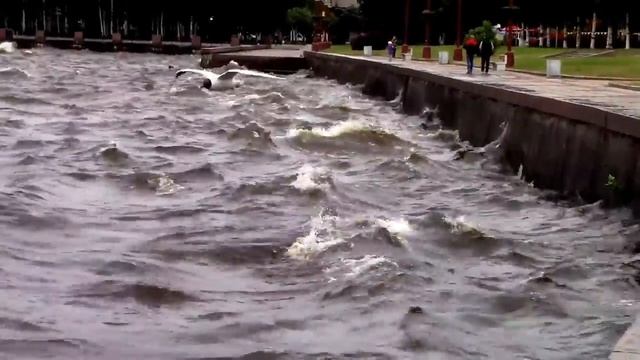 Петрозаводск Набережная Онежского озера Владимир Куриков смотреть онлайн