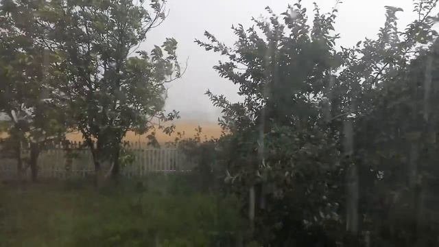Летний ливень