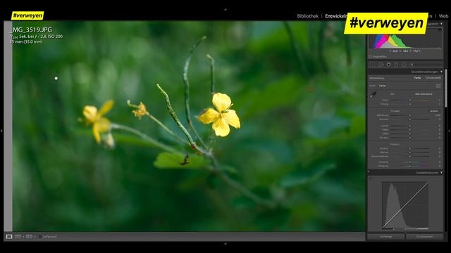 Experiment: Canon EOS 400D mit Sigma Art Objektiv....heute noch zeitgemäß? смотреть онлайн