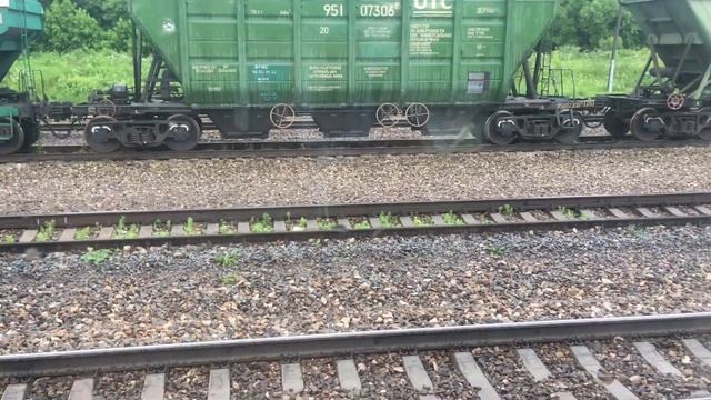 Поезда. Ласточка и пригородная электричка. Сравниваем два поезда. Катаемся на поездах .