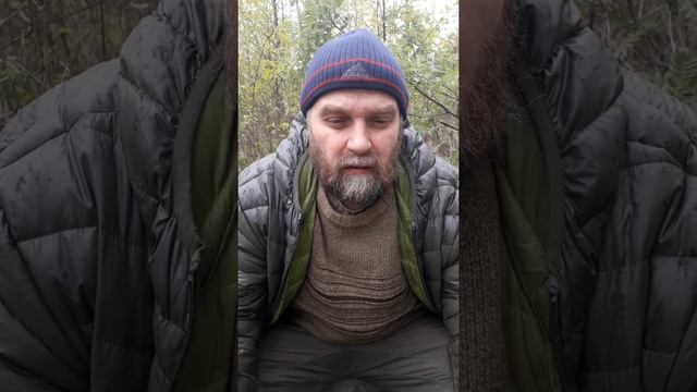 Живин Лад. Никитин Руслан смотреть онлайн