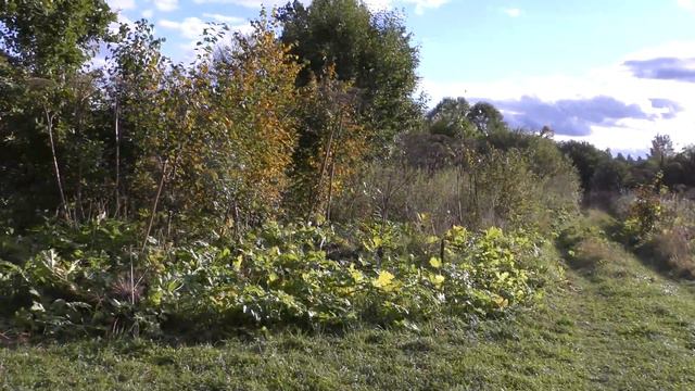 2_Окрестности Болдино-Муравьево(цикл "Дорога к Татищеву") смотреть онлайн