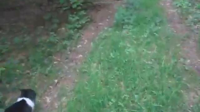 Неудачная прогулка смотреть онлайн