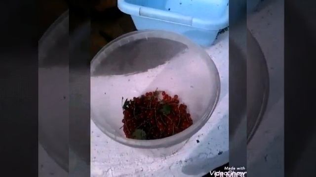 Влог! Видео на даче / Софий шоу смотреть онлайн