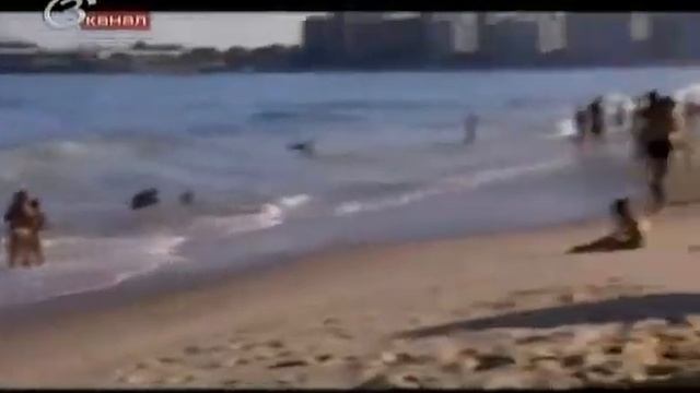 Бразилия Рио де Жанейро смотреть онлайн