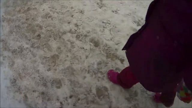 Тульская область - Ясная Поляна. Прогулка по ТУЛЕ