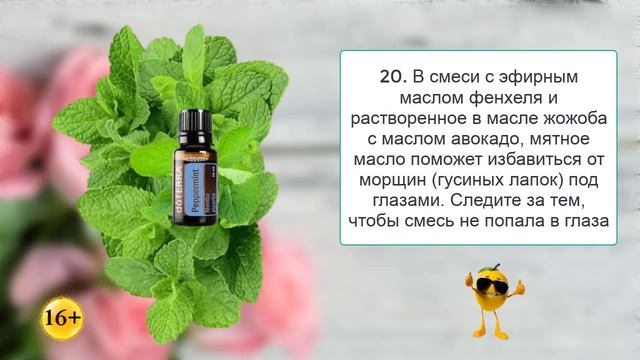 35 главных ЛЕЧЕБНЫХ свойств эфирного масла МЯТЫ ПЕРЕЧНОЙ ОТ doTERRA для ЗДОРОВЬЯ  Мята перечная
