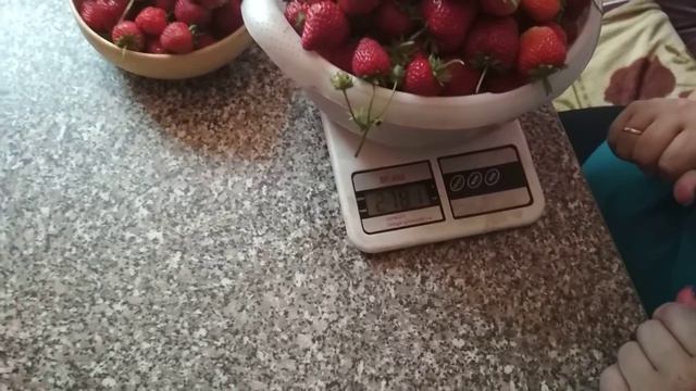 Сбор клубники. Часть 4, 19.06.20 г - 3500кг!!!