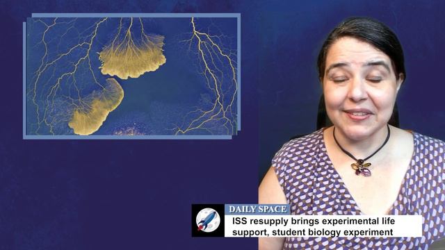 The Daily Space 11 August 2021: Rocket Roundup смотреть онлайн