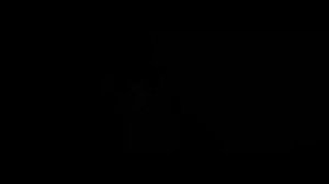 Radius 21 - Tungi kapalak / Official