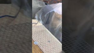 Клетка на 20 перепелов Своими руками