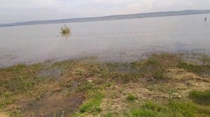 Золотые пески. Мельхитуй 15.07.2021.