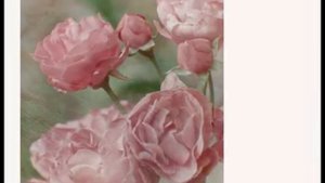 испанская певица  Nuria Fergo    ШТИЛЬ НОСТАЛЬГИИ