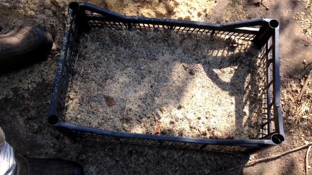 ? Как вырастить кизил из косточки от и до | Cтратификация. Посев. Сеянцы. смотреть онлайн