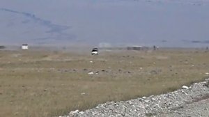 дорога от Кош-агача до погранзаставы