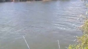 Рыбалка на Волгодонске