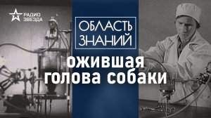 Какие эксперименты по омоложению и оживлению проводились в СССР? Лекция историка Валерии Слисковой