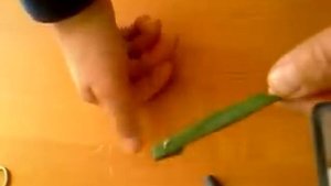 Ловля амура на камыш ч. 2 [В КАКУЮ ПОГОДУ ЛОВИТСЯ АМУР] ПОВАДКИ, ПОКЛЁВКИ И ПОВЕДЕНИЕ