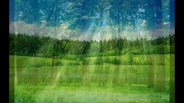 Лес смотреть онлайн