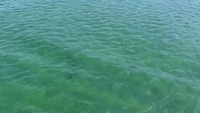 Круиз по Байкалу на теплоходе Александр Великий июль 2015 смотреть онлайн