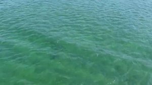 Круиз по Байкалу на теплоходе Александр Великий  июль 2015