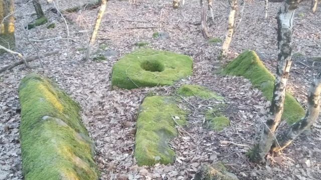 Дольмены Храмовой Горы в селе Возрождение под Геленджиком